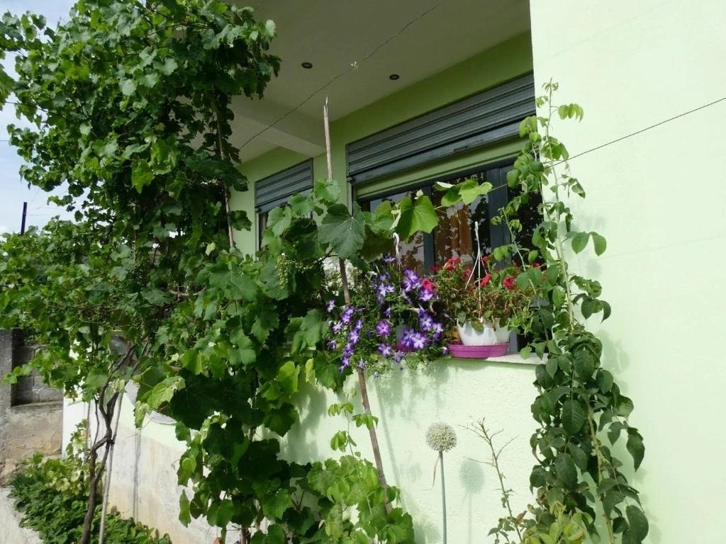 Guesthouse Aleksander