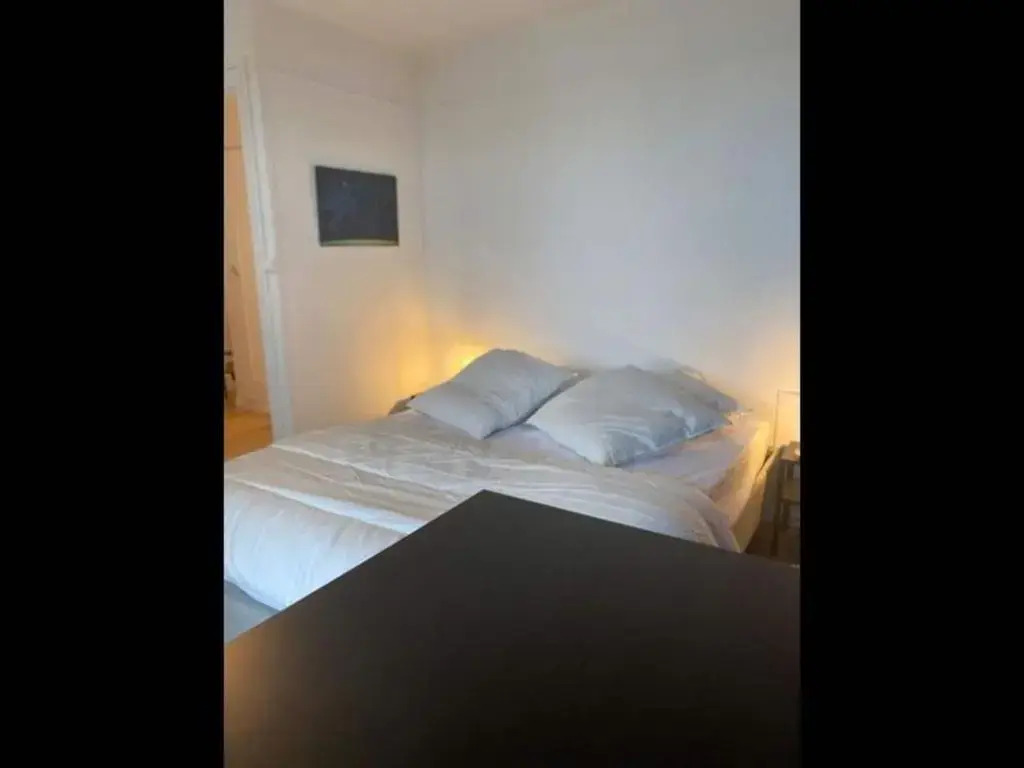 Loft Du Dragon 110m2 Panoramique