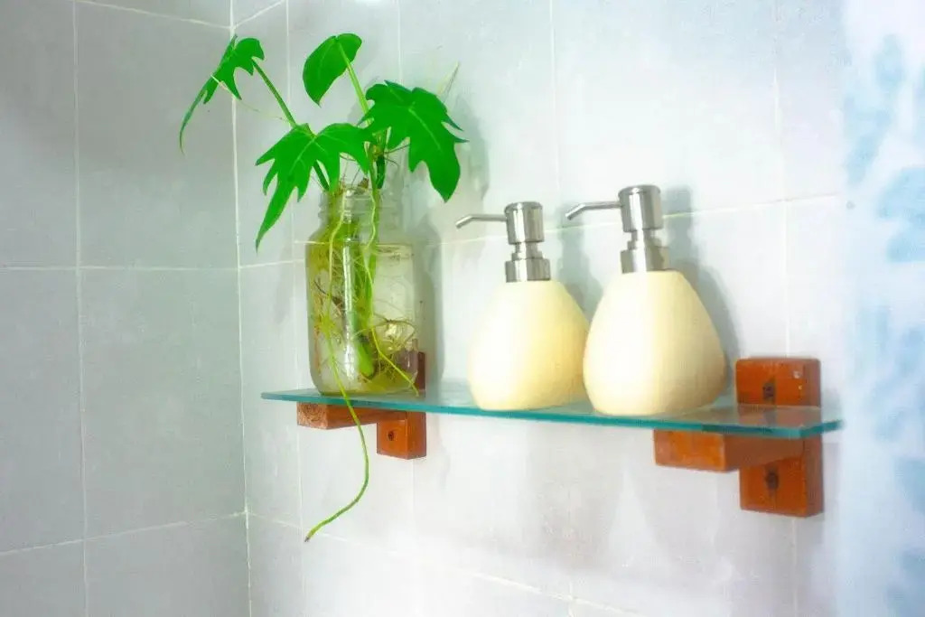 Nido Bacalar Apartments & Suites