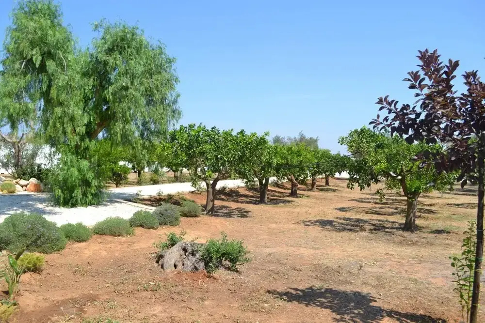 Tenuta Arate