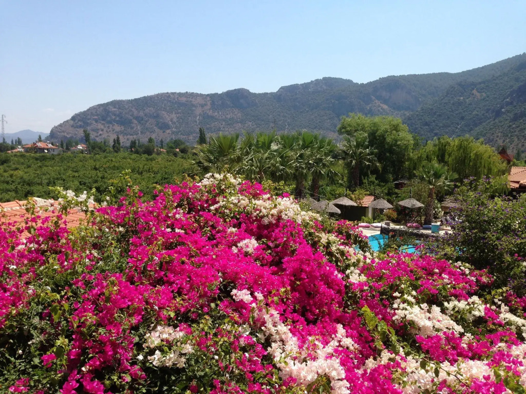 Bahaus Resort