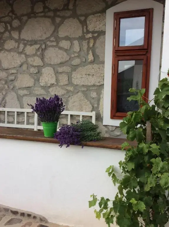 Vitamin B63 Vendégház