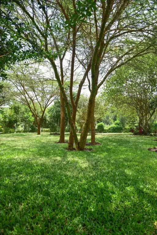 Olkeri chalete