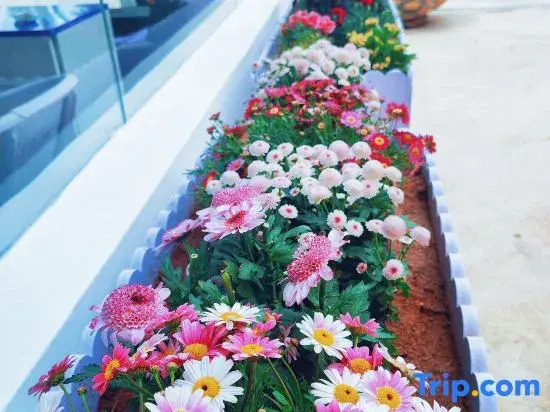 Haishu Yuntian · Seaside Pool Resort (Near Nanshan Temple & Guanyin of the South Sea)