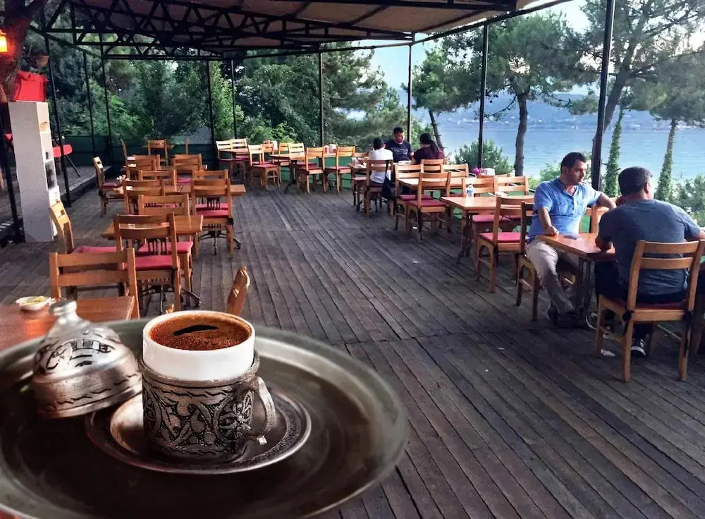 Sakarya Il Ormani Tabiat Parki Konaklama Evleri