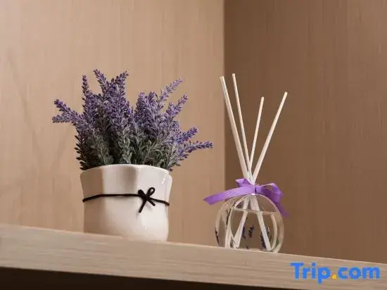 Lavande Hotels ，Guangzhou Panyu Dalong Branch