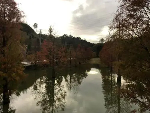 Nan Juang Jing Hwa
