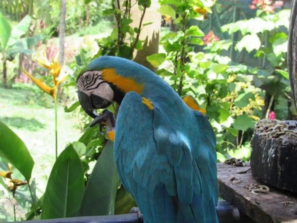 Hotel Yurupary AMAZONAS