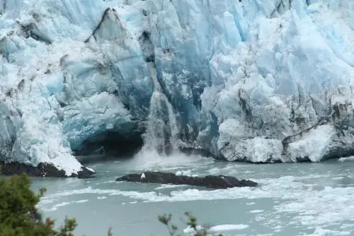 Renting Calafate
