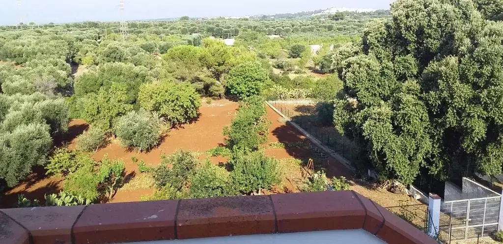 Villa Mediterranea tra gli ulivi
