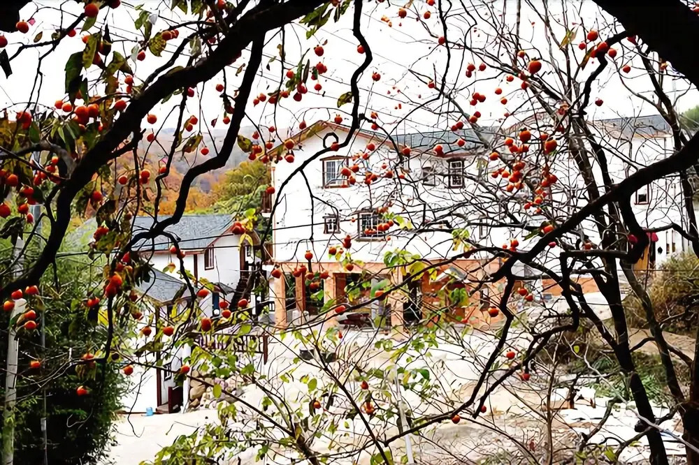 Gyeongju Memory Making Pension