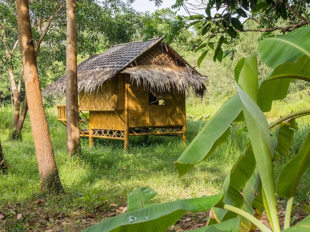 Wichai's Jungle Home Stay