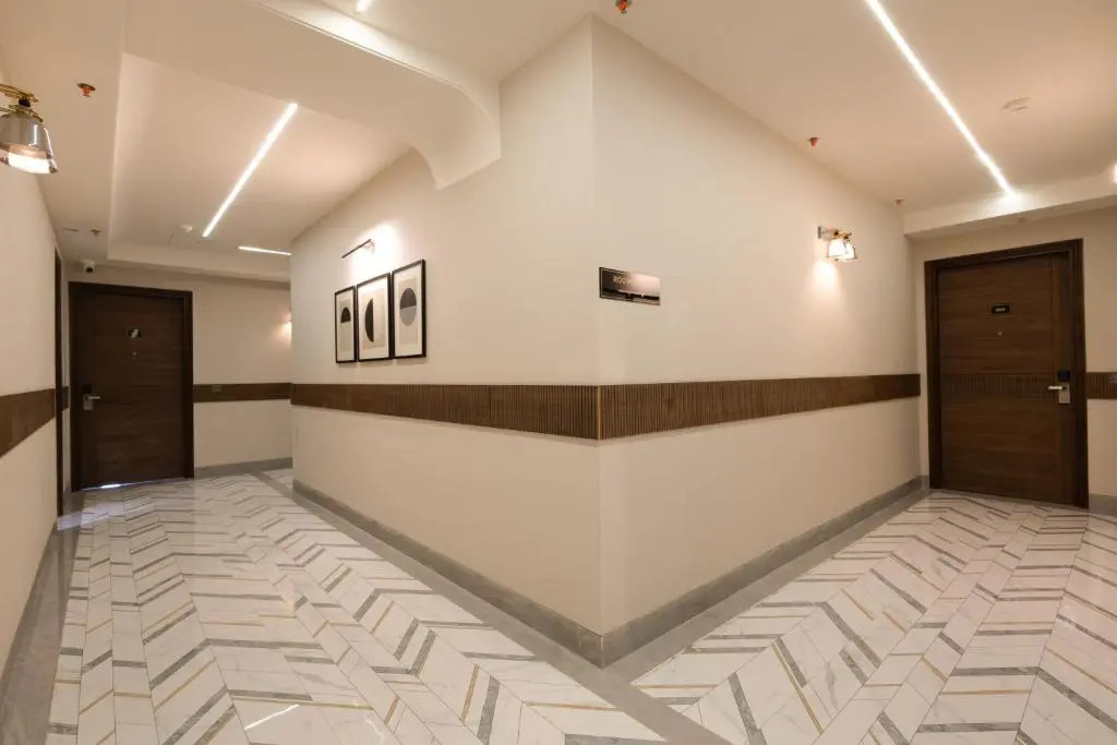 Saltstayz Premier - Naraina, Central Delhi