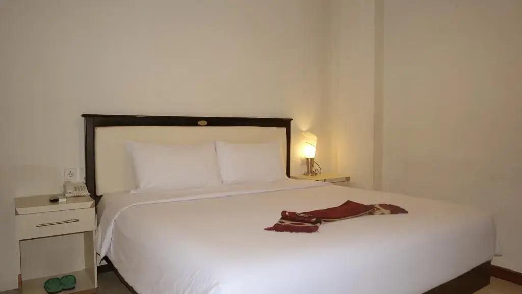 Ion Hotel