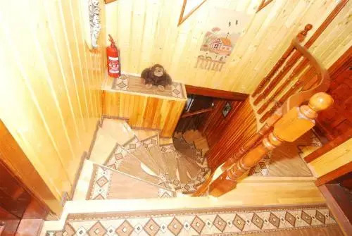 Pension Casa Bradul