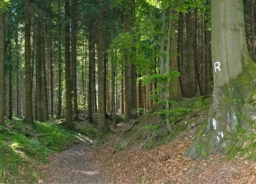 Cozy Holiday Home in Grossbreitenbach near Schwarza Valley