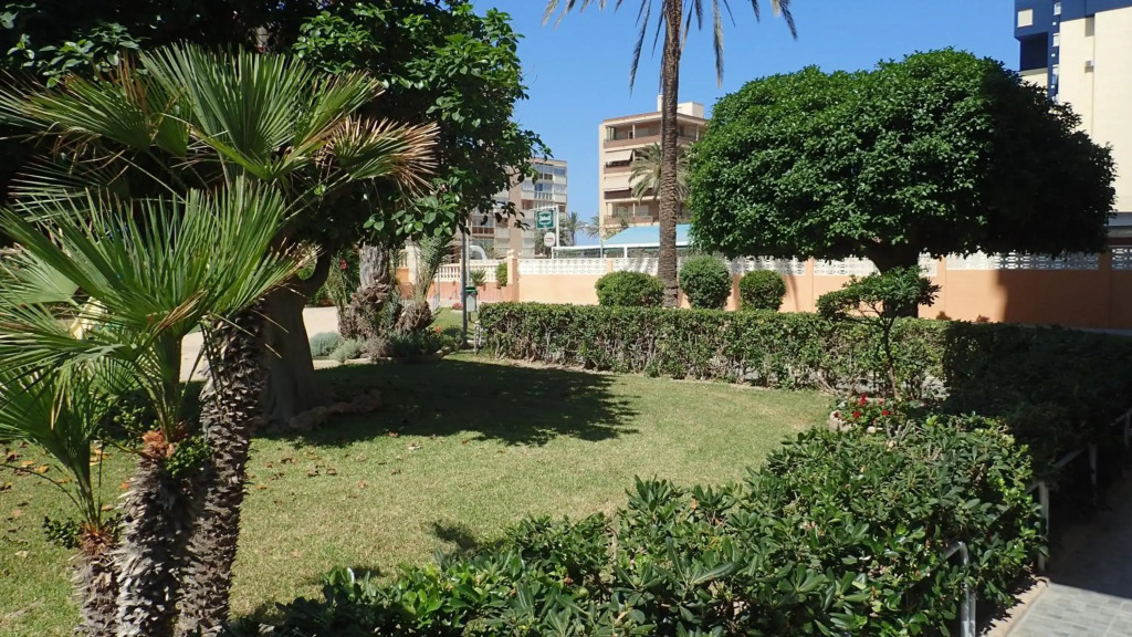 Tortuga Flat