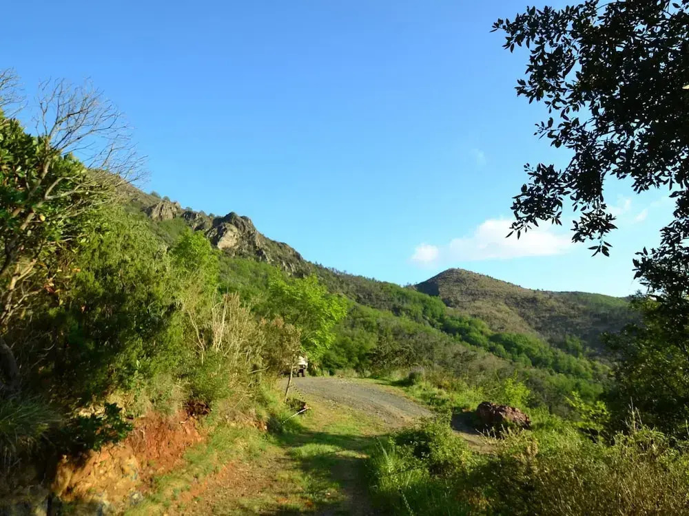 Bungalow Sestri Levante Near Forest Sea