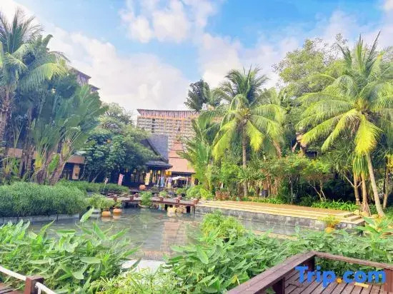 Sanya Yehai Tingfeng Resort Hotel (Amazon Jungle Water Park)