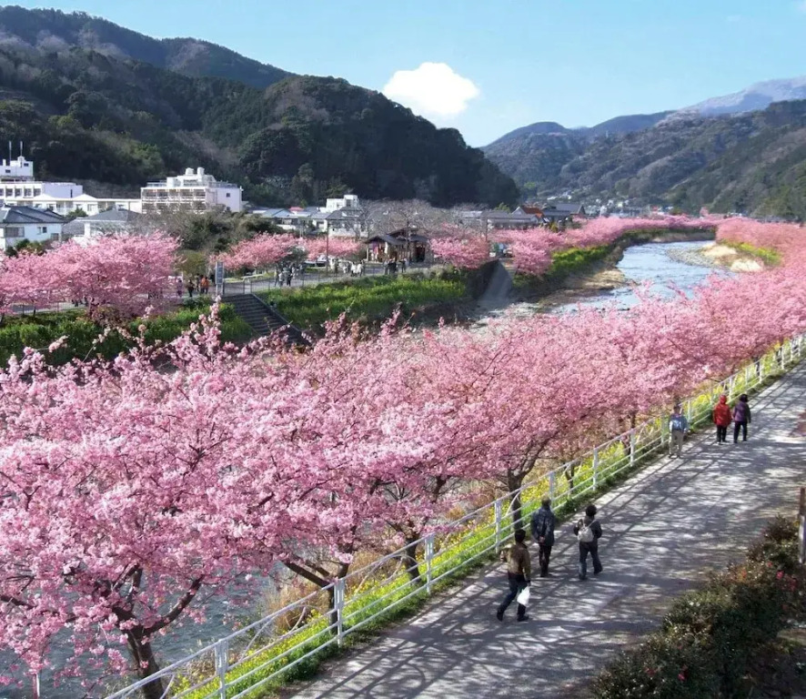Shimoda Ocean Park Hotel
