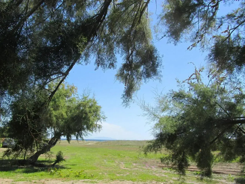 Camping Miami plage