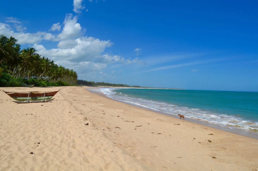 Green Parrot Beach Resort