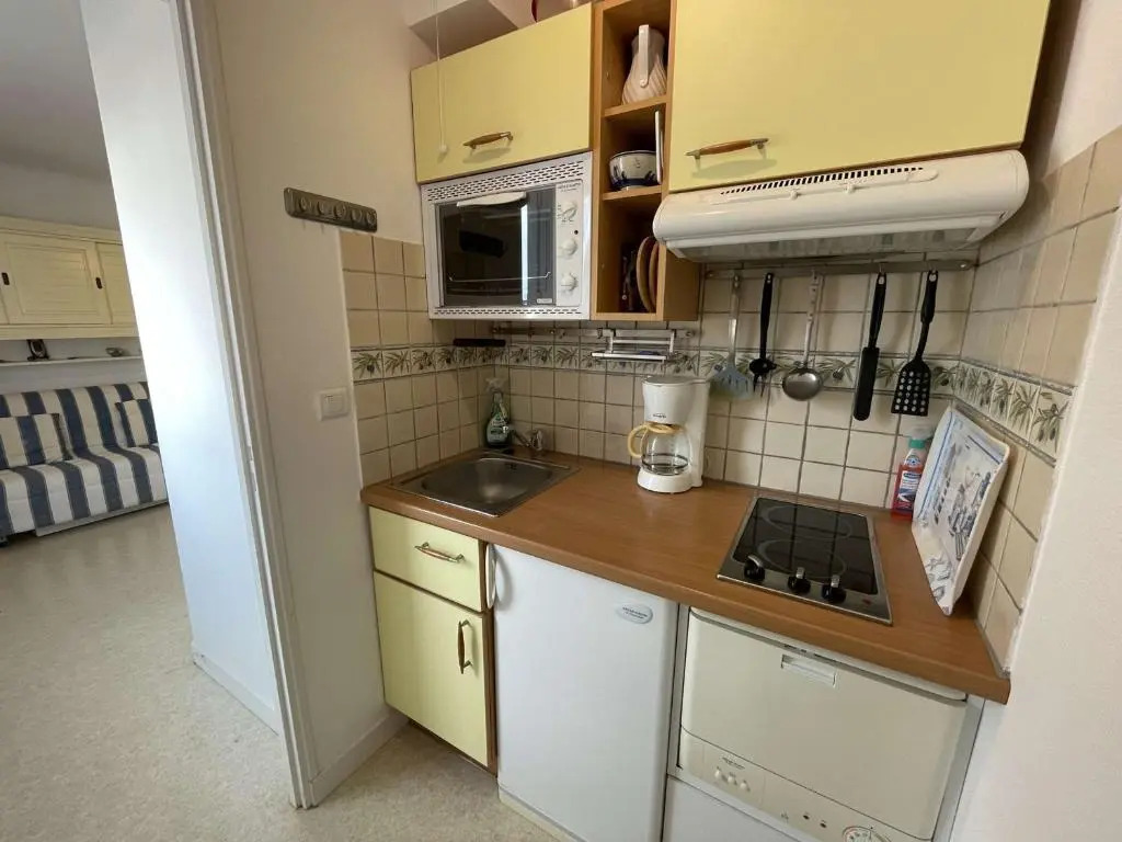 Appartement Notre-Dame-de-Monts, 1 pièce, 2 personnes - FR-1-224C-83