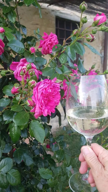 Ospitalità La Rocca Chianti