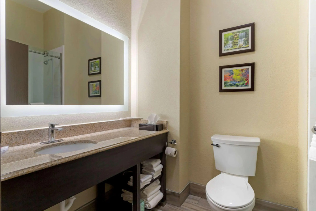 Comfort Suites Kingwood, Humble, New Caney, Houston IAH Airport
