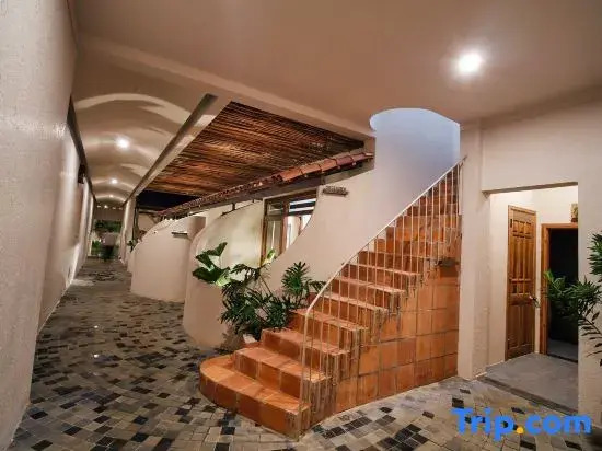 MOONLIGHT Homestay & Hotel