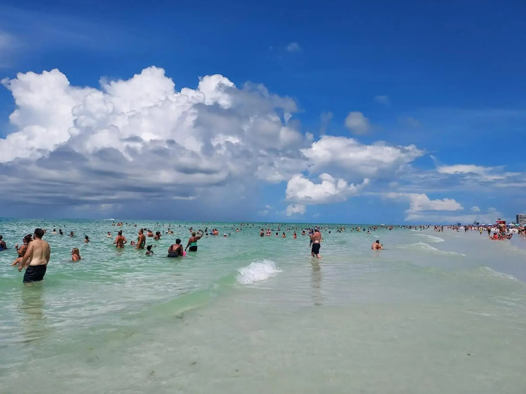 4 Paradise Home Close to Siesta Key and IMG Academy