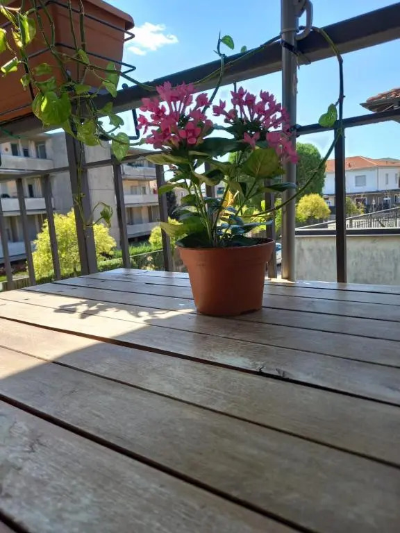Appartamento vicino ai laghi e Aereoporto di malpensa