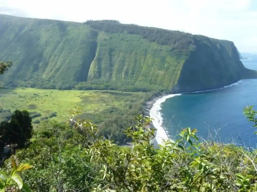 Wai'ula'ula D201