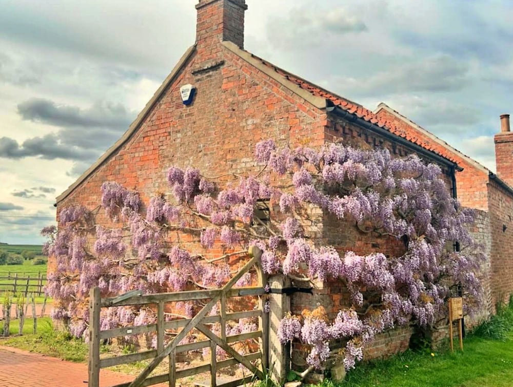 Cottage in Hemingby Near Lincolnshire Wolds