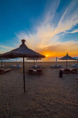 Static Beach Resort