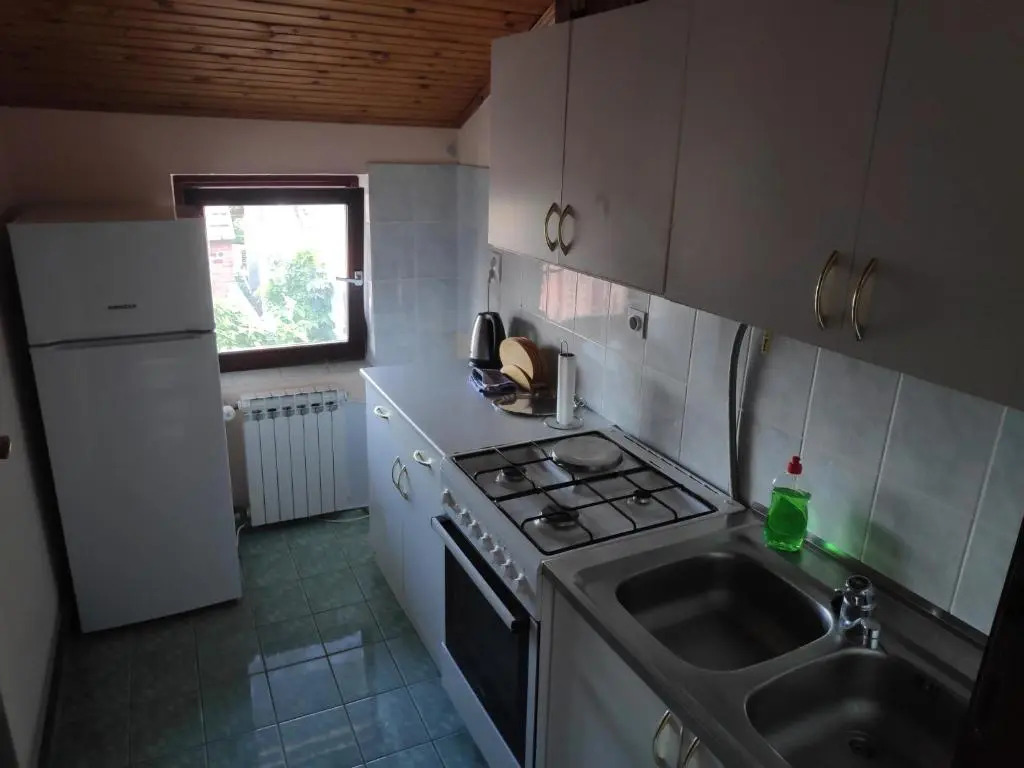 Apartment Viktorija