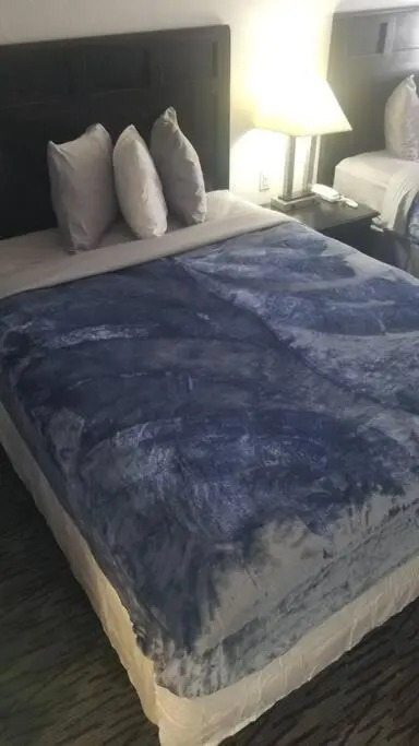 OSU 2 Queens WI-FI Hotel 222 Booking
