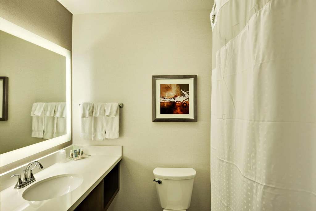 Holiday Inn St. George Convention Center by IHG