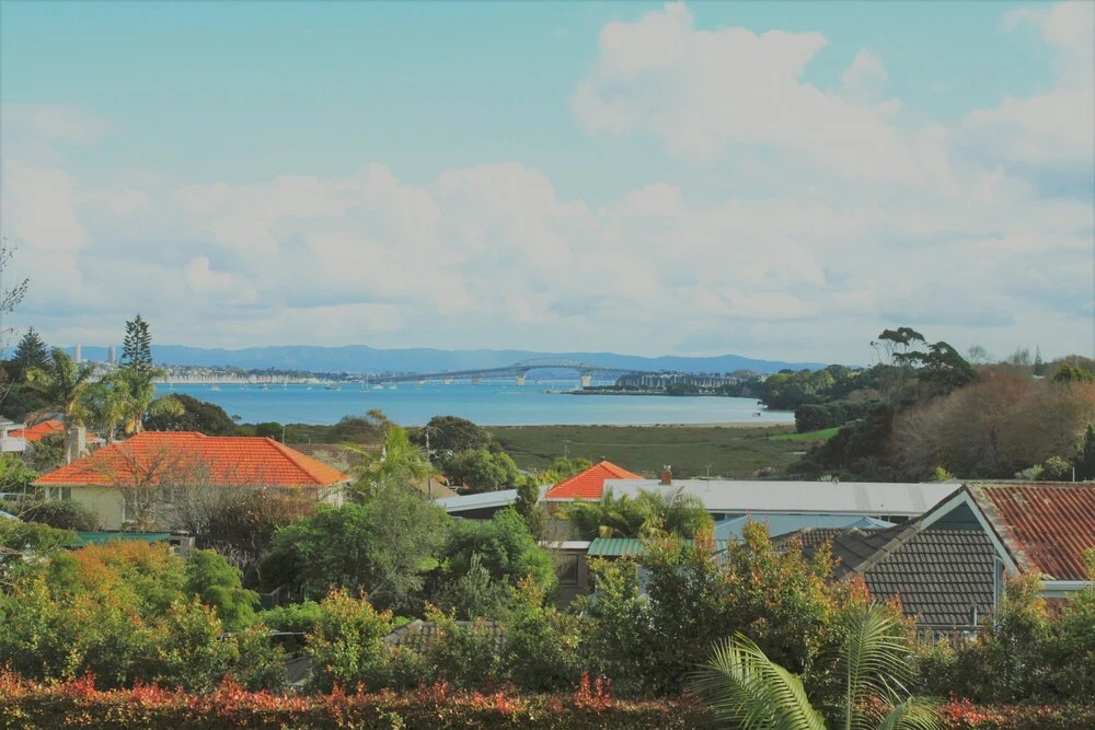 Unique Home - Devonport Seaview House