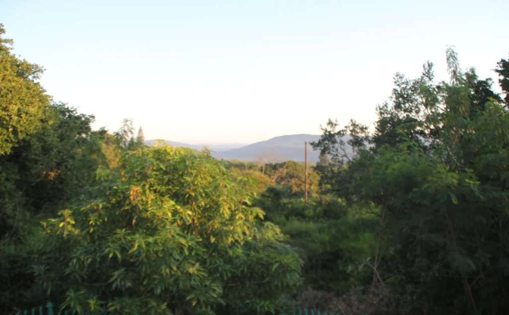 Safari Bed & Breakfast