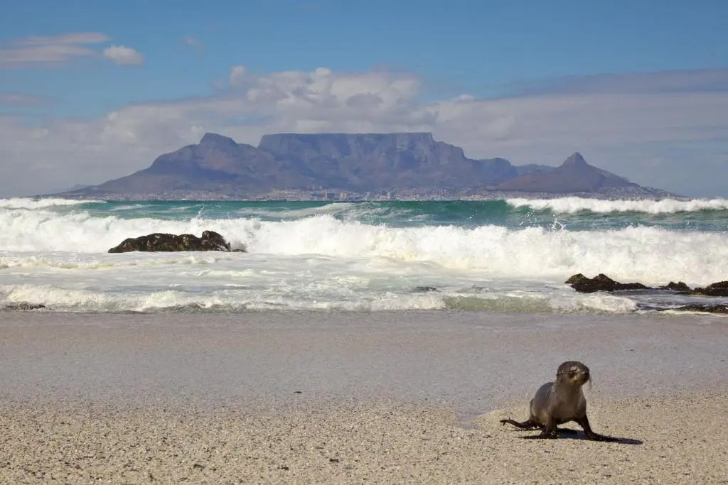 Premier Hotel Cape Town
