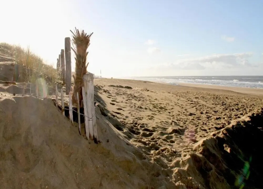 Apartment in Noordwijk Near North Sea Beach