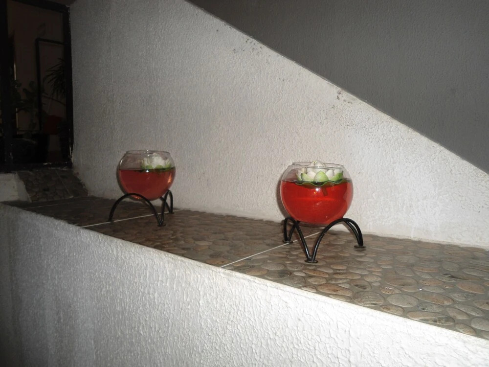 Hotel Lupita