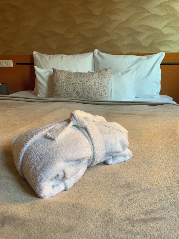 Termál Hotel Vesta