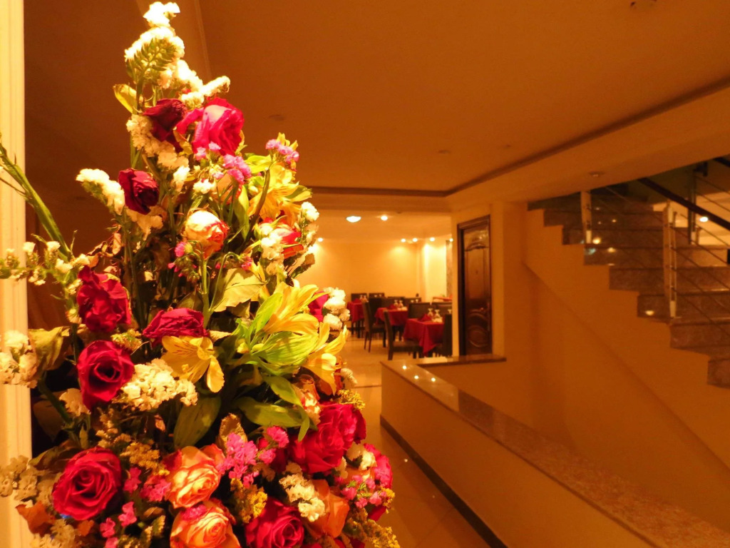 Solish international hotel