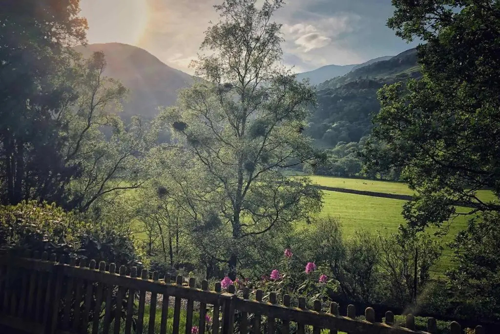 CELYN - SNOWDONIA COTTAGE