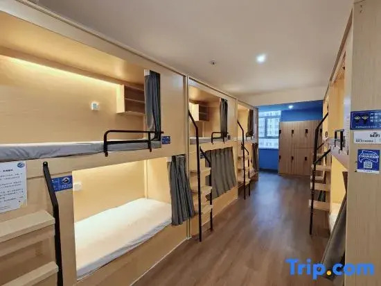 Whale · City Hostel (Heze Station)