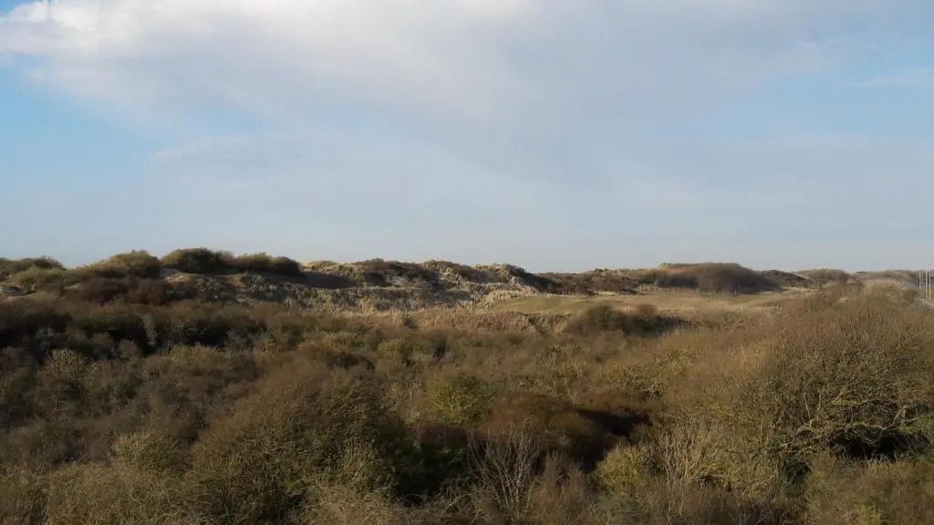 Appartement Duinenzicht De Haan-Vosseslag