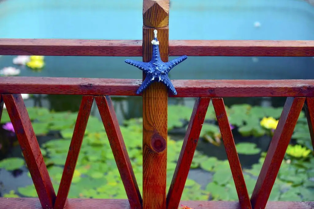 Blue Saipan Garden