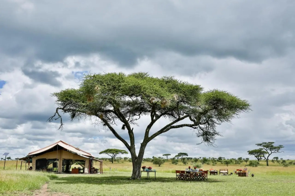 Pumzika Luxury Safari Camp - East Africa Camps